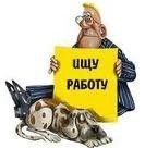 Центр занятости населения - город Великий Новгород Центр занятости населения - город Великий Новгород